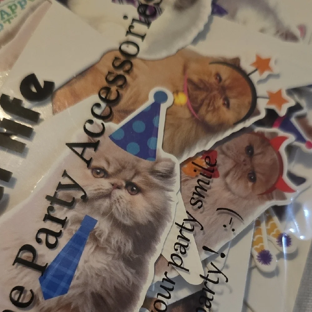 Cooper Life persian cat